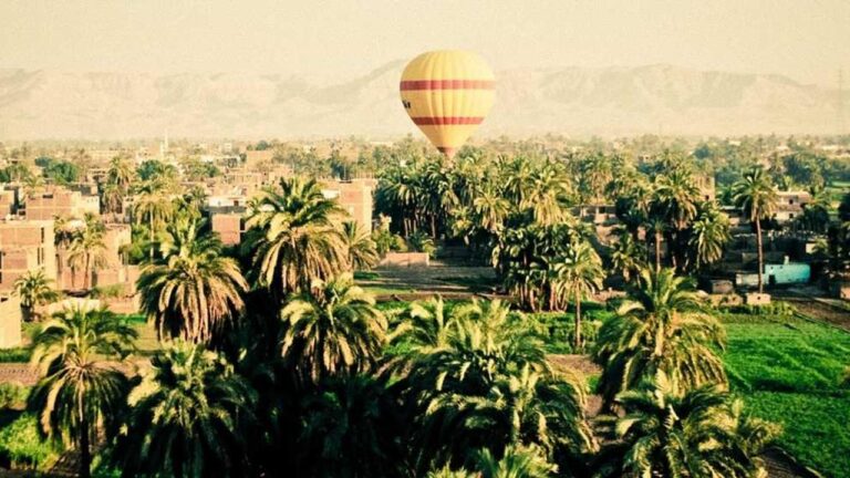 How To Sign Up For Cricbet99 Club In India?